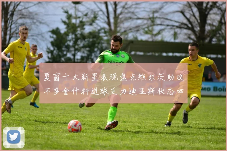 夏窗十大新星表现盘点维尔茨助攻不多舍什科进球乏力迪亚斯状态回暖