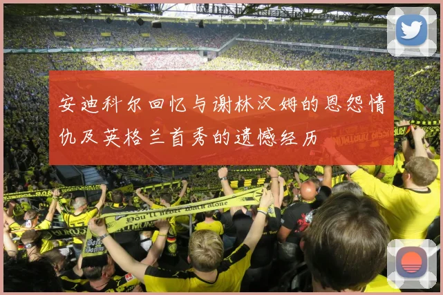 安迪科尔回忆与谢林汉姆的恩怨情仇及英格兰首秀的遗憾经历