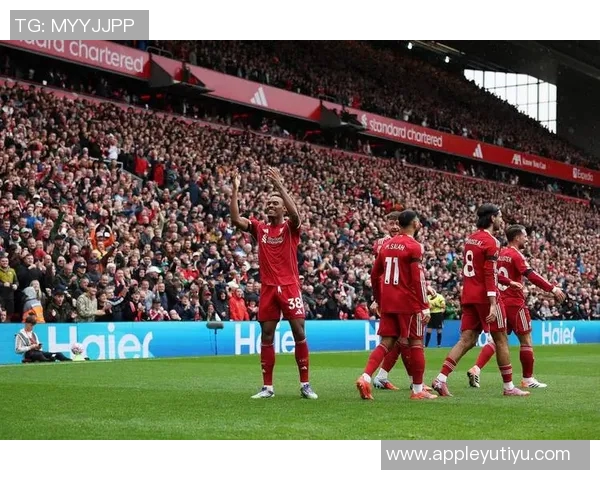 水晶宫计划冬窗出售身价5000万格伊红军将面临皇萨仁激烈竞争